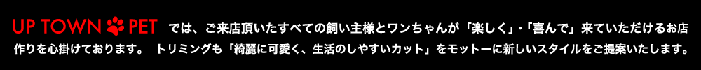 広尾のペットサロン＆ペットホテル、アップタウンペット