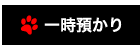 広尾のペットサロン＆ペットホテル、アップタウンペット