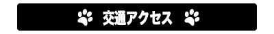 広尾のペットサロン＆ペットホテル、アップタウンペット